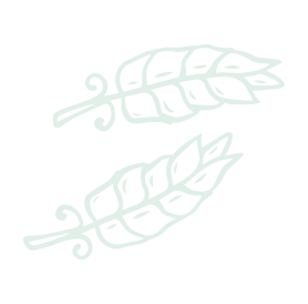 Section Graphic